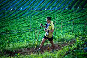 BIB: 
                            <button type="button" onclick="openModal(19160167)" class="btn btn-primary btn-sm float-right btn-popup" data-toggle="modal" data-target=".modal-high-quality">
                        <i class="fas fa-shopping-cart"></i> Add to Cart
                    </button>
                                            <button type="button" onclick="isThisMe(19160167, true)" class="btn btn-success btn-sm float-right btn-popup btn-isme hidden" data-toggle="tooltip" data-placement="bottom" title="นี่คือรูปของคุณใช่ไหม คลิกที่นี่เพื่อเอาเข้าอัลบั้ม">
                        <i class="fas fa-plus"></i> Add to album
                    </button>
                    <button type="button" onclick="isThisMe(19160167, false)" class="btn btn-warning btn-sm float-right btn-popup btn-isnotme hidden">
                        <i class="fas fa-ban"></i> Remove from album
                    </button>